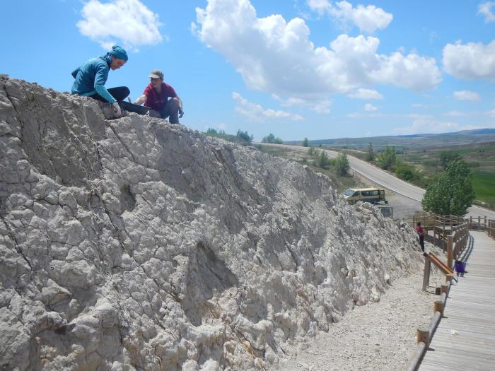 Trabajos paleontológicos llevados a cabo en el yacimiento de icnitas de dinosaurios de Ababuj