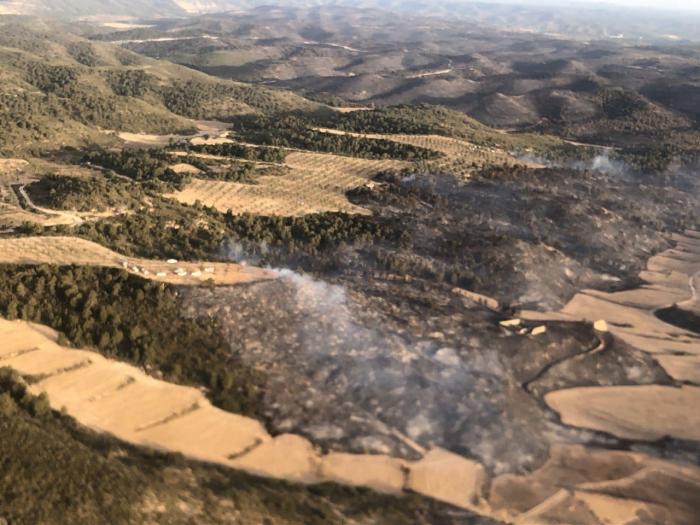 Incendio forestal de Nonaspe. Domingo, 19 de junio 2022