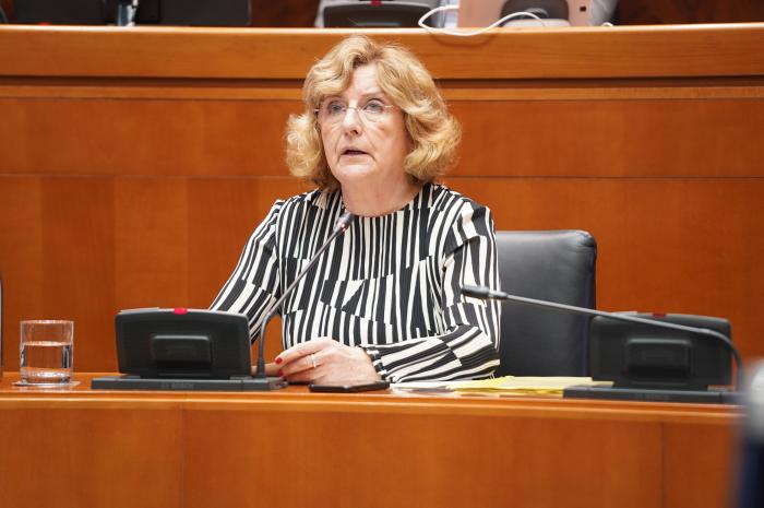 Broto, en el transcurso de su comparecencia