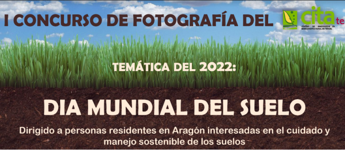 Cartel anunciador del concurso.