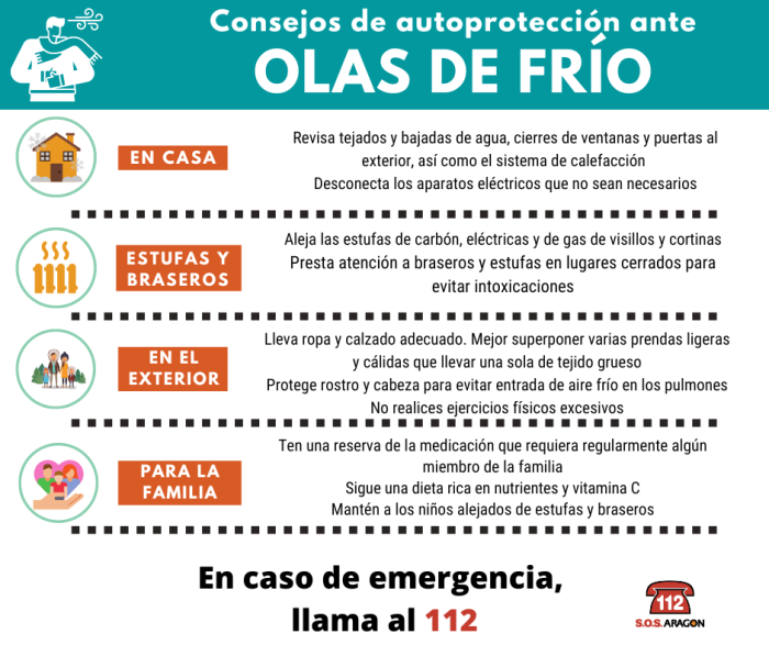 CONSEJOS NEVADAS