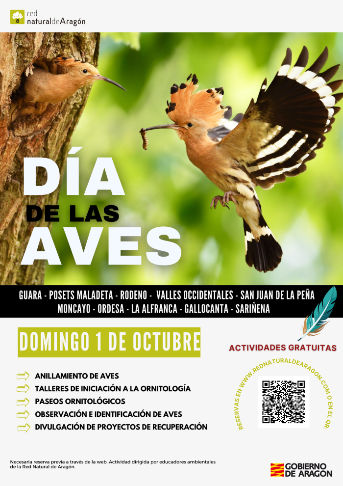 Cartel con motivo del Día de las Aves.