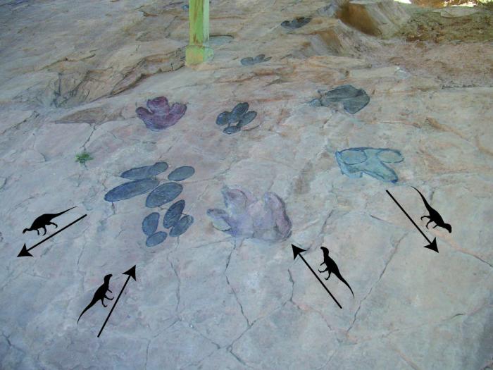 Dos de los rastros paralelos de dinosaurios carnívoros con la misma orientación que las ondas dejadas por el oleaje del yacimiento.