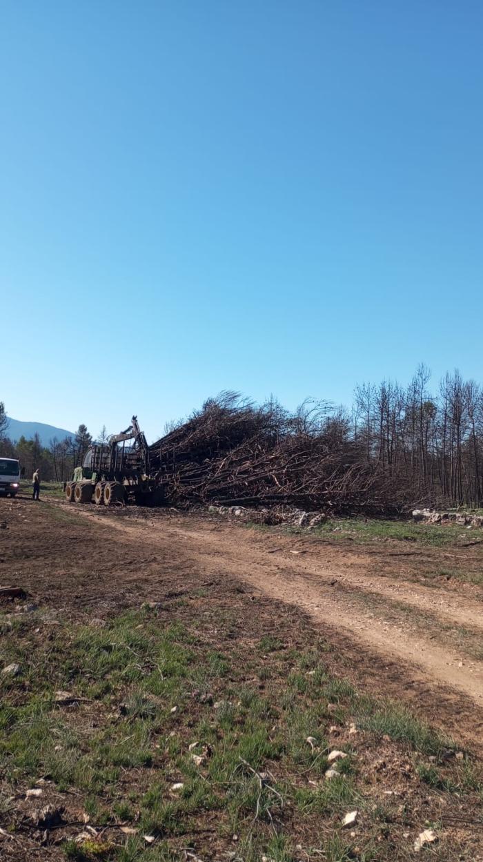 La retirada de la madera quemada es una parte fundamental de los trabajos.