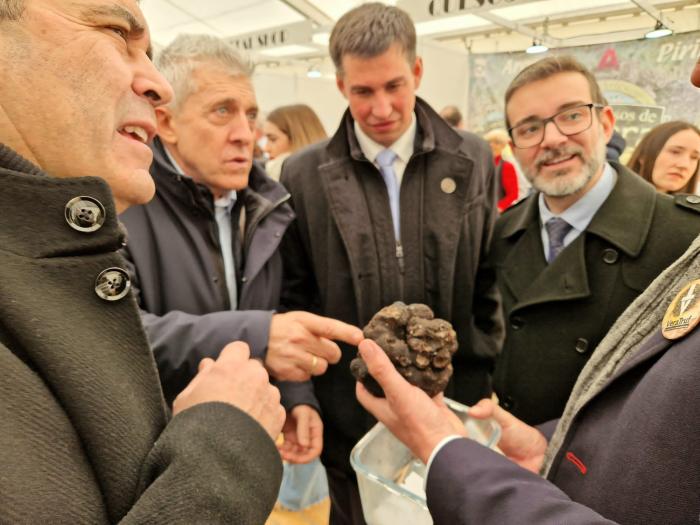 Trufa que competirá en el concurso de esta edición 2024 en Vera del Moncayo