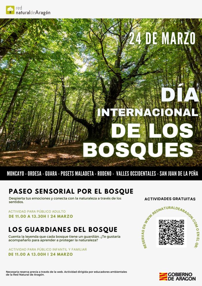 Cartel con motivo del Día Internacional de los Bosques.