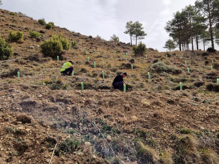 Imagen de los trabajos que se están desarrollando en Ejulve.