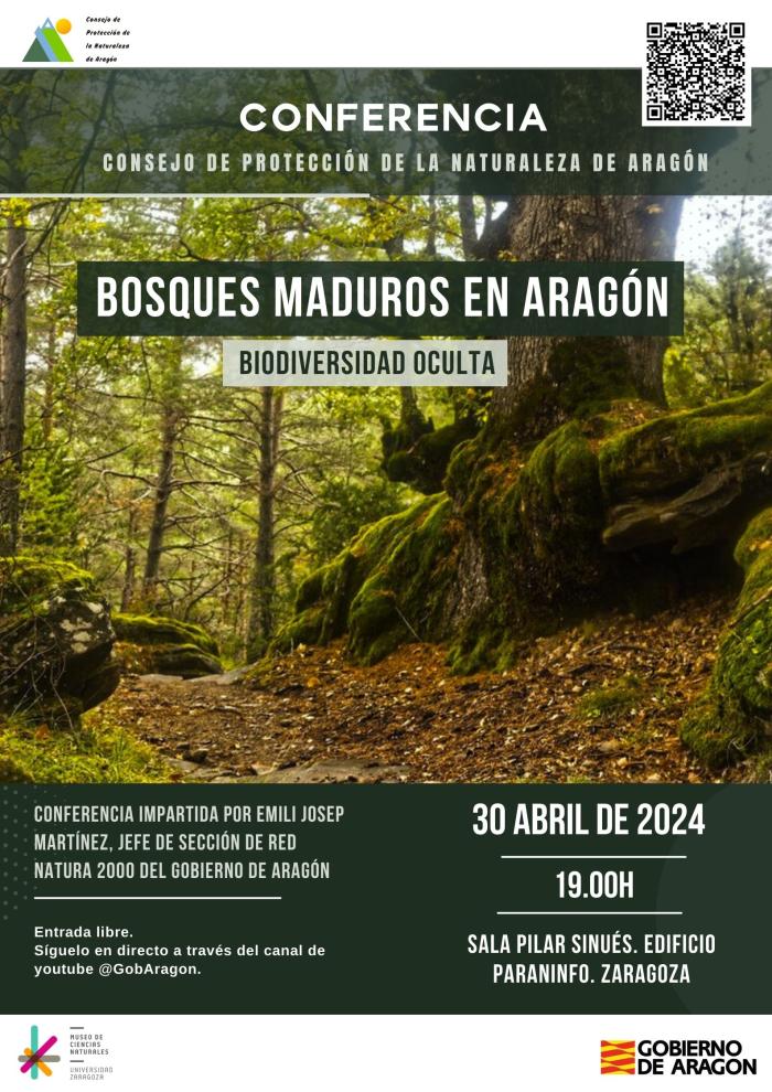 Cartel sobre la conferencia.