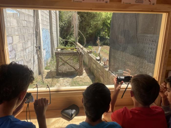 Alumnos observando pájaros en el hide instalado en el colegio.