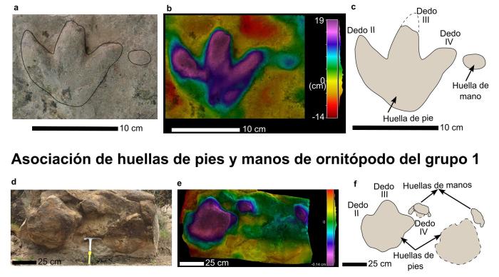 Asociación de huellas de pie y mano de pequeño tamaño y de gran tamaño.