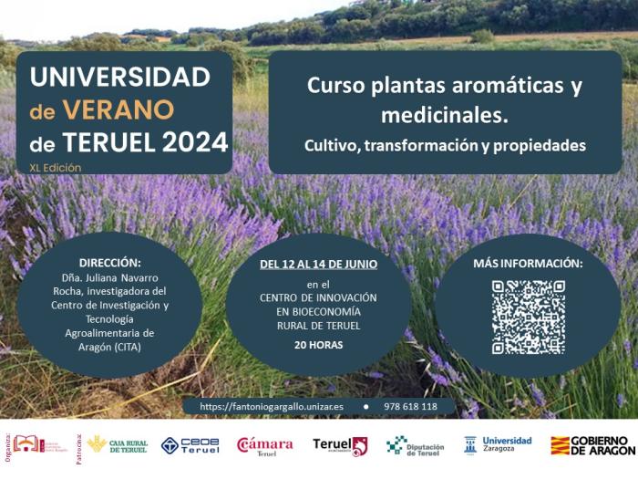 La investigadora Juliana Navarro dirige este curso en el que también participa David Gimeno, técnico de investigación del departamento de Ciencia Vegetal del CITA