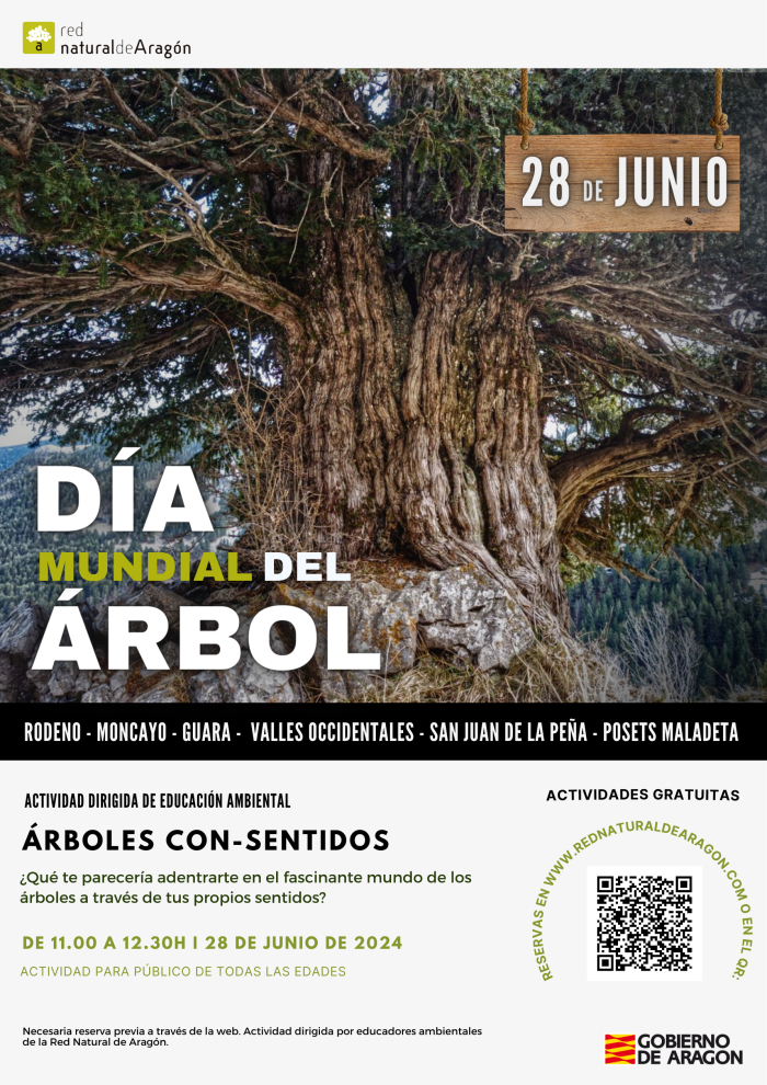 Cartel del Día del Árbol 2024.