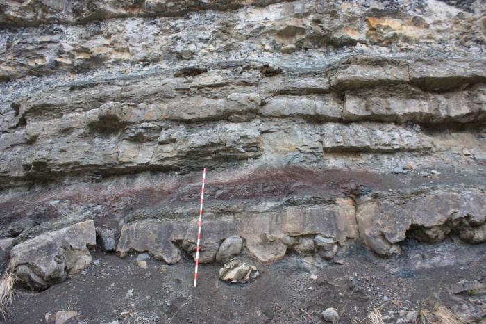 Algunas de las huellas de dinosaurios en forma de relleno en el yacimiento “Río Alcalá” de Alcalá de la Selva (Teruel).