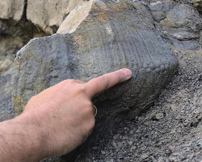 Una huella en la que se pueden observar las impresiones de la piel del dinosaurio productor.