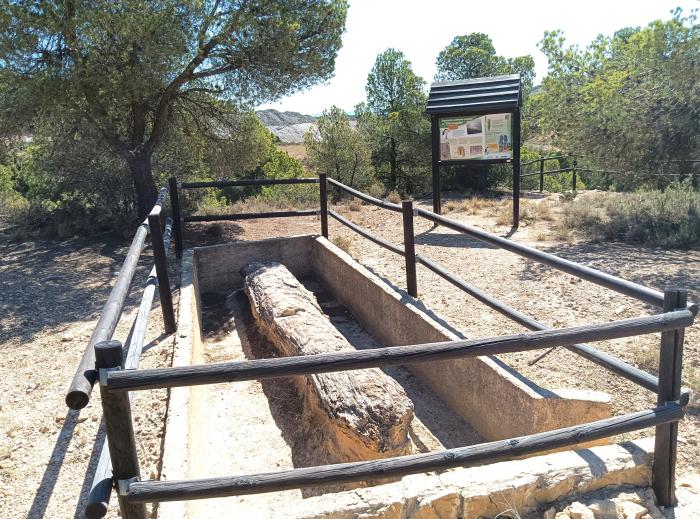 Uno de los afloramientos del yacimiento El Barranquillo con un gran tronco fosilizado.