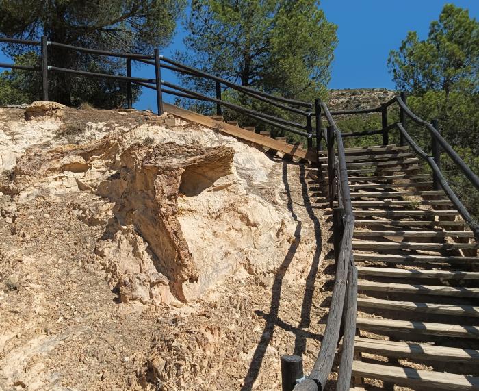 El yacimiento El Barranquillo cuenta con ejemplares de troncos fósiles de unos 100 millones de años, que están protegidos por un vallado perimetral.