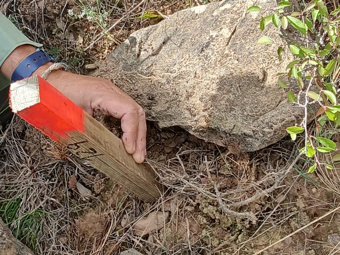 Una de las señalizaciones en el deslinde del Monte de Utilidad Pública de Murillo de Gállego