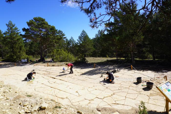 Además de la limpieza y excavación del yacimiento se han desarrollado tareas de consolidación para conservar el rastro principal.