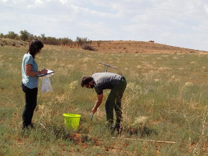 Imagen del artículo El Centro de Innovación en Bioeconomía Rural de Teruel comienza una nueva campaña de fomento de analíticas de suelos de la provincia turolense