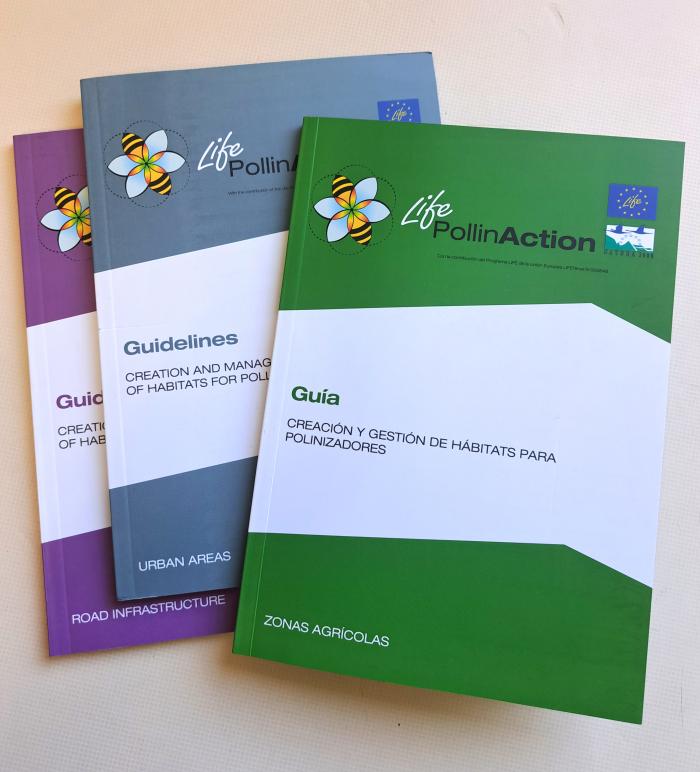 El proyecto LIFE PollinAction en el que participa el CITA publica una guía sobre la creación y la gestión de hábitats para polinizadores