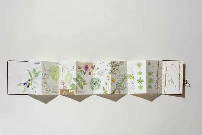 Una de las obras de la exposición 'Jardín de Tinta y Trazo', que se inaugura este sábado en el CDAN.