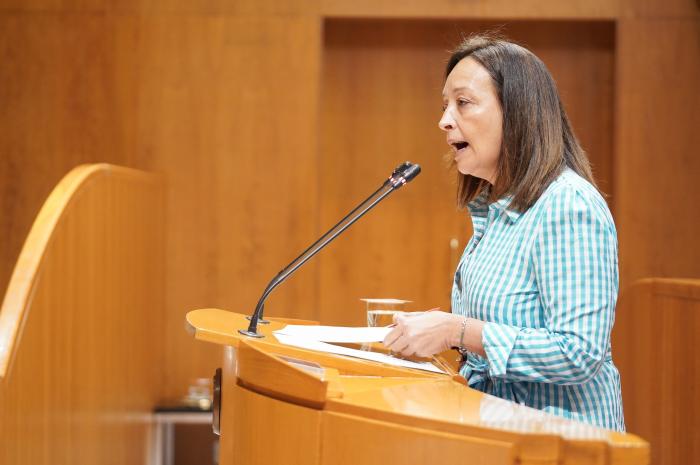 La consejera Susín ha respondido en las Cortes a una interpelación sobre la gestión de la discapacidad