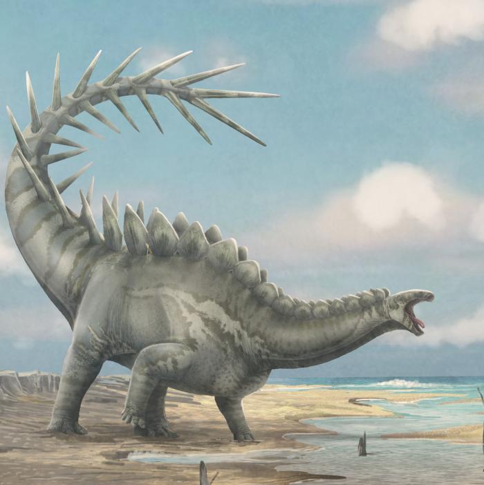 Ilustración de Dacentrurus armatus. Adrián Blázquez / Fundación Dinópolis.
