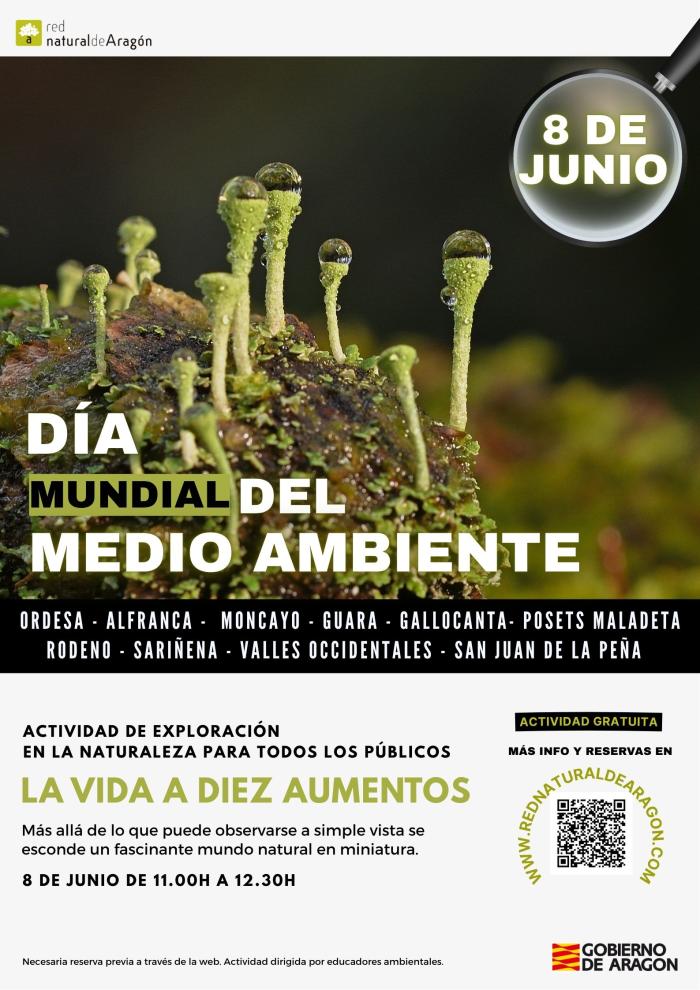 Cartel con las actividades previstas.
