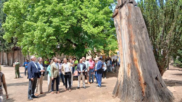 Image 2 of article Daroca recupera un jardín centenario en un acto que cierra las jornadas sobre restauración hidrológico-forestal