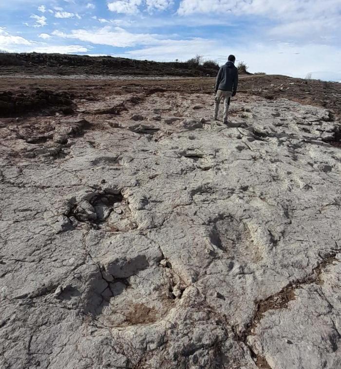 Nuevas icnitas de dinosaurios saurópodos excavadas en el yacimiento «Santa Ana» en Ababuj (Teruel). Obsérvese la disposición de las huellas formando un rastro.