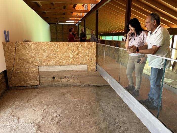 Imagen del artículo El Gobierno de Aragón iniciará este verano la quinta fase de restauración en la villa romana de La Malena