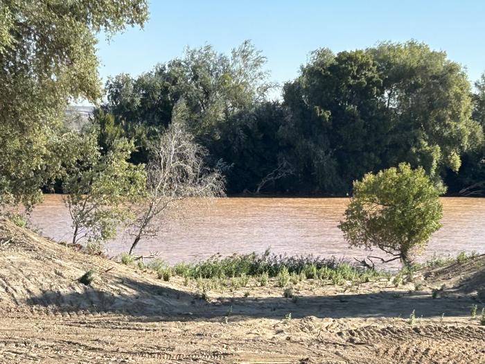 Actuación en el río Ebro, en Fuentes de Ebro, para prevenir inundaciones