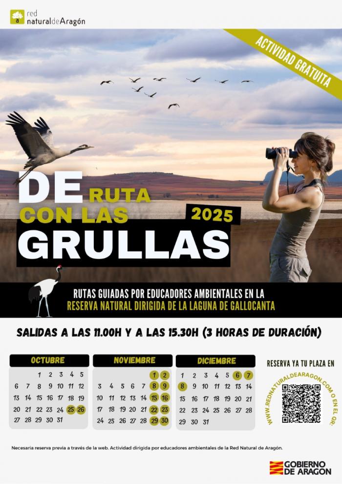 De ruta con las grullas Gallocanta 2025