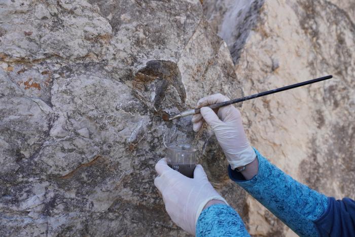 Detalle sobre el proceso de aplicación del producto en las icnitas tridáctilas presentes en un yacimiento de Aguilar del Alfambra (Teruel).