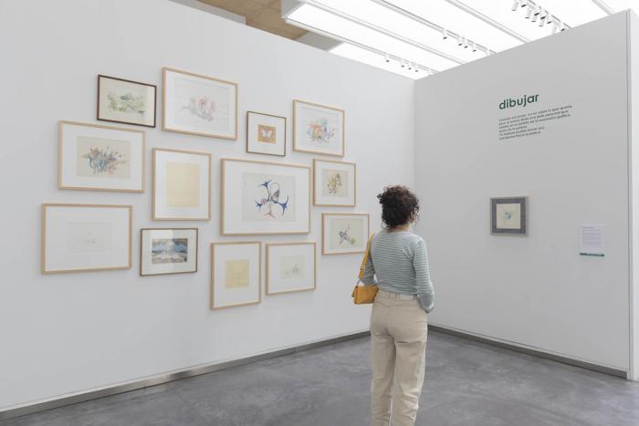 La exposición dedicada a Gilles Clément se podrá visitar hasta el 11 de enero en el CDAN.