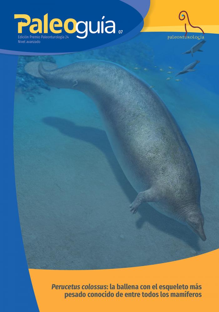 Portada de la Paleoguía07, que trata sobre la investigación ganadora del Premio Paleonturología del año 2024.