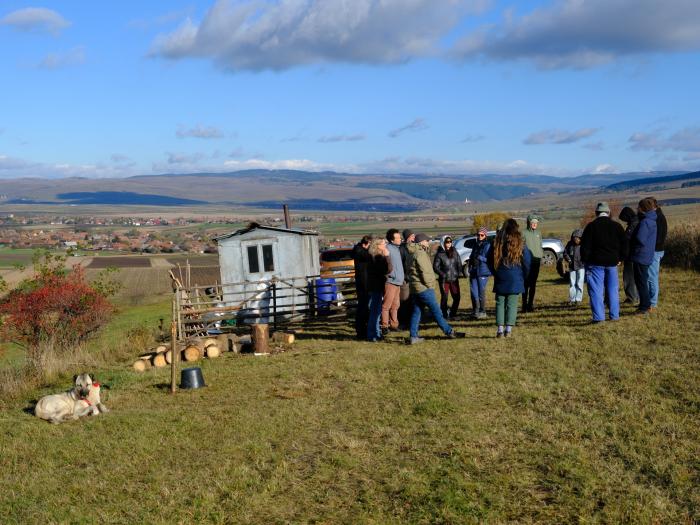 Investigadores del proyecto CoCo se reúnen en Rumanía para avanzar en el diálogo europeo sobre la convivencia de la ganadería extensiva con la fauna silvestre