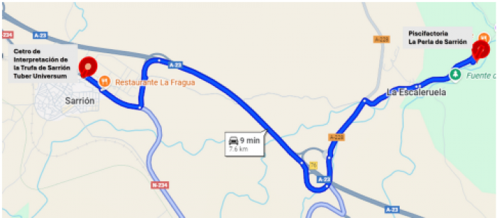 “La directora general Amparo Cuéllar visita Sarrión para reforzar el impulso a la truficultura aragonesa.