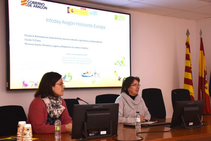 WhatsApp Image 2025-12-04 at 14.27.07 (1)