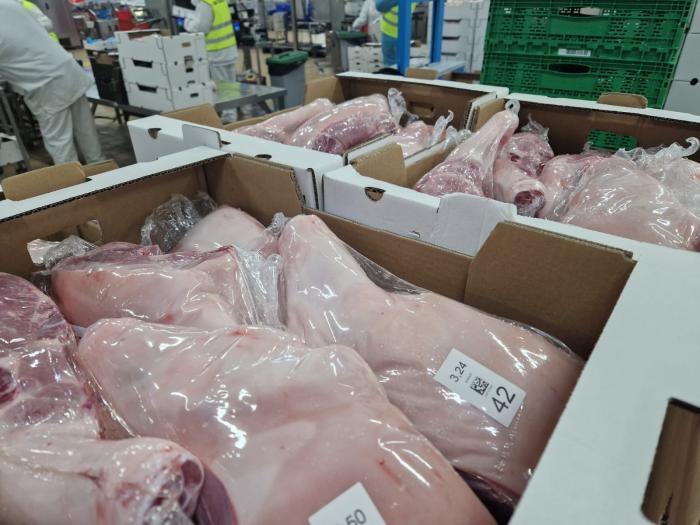 Rincón: “Nos gustaría tener más información por parte del Ministerio sobre cuestiones como la carga vírica o el origen del brote”.