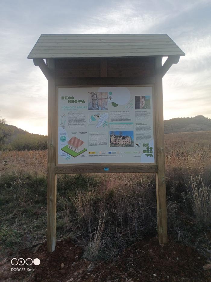 WhatsApp Image 2025-11-12 at 17.36.12 (2)