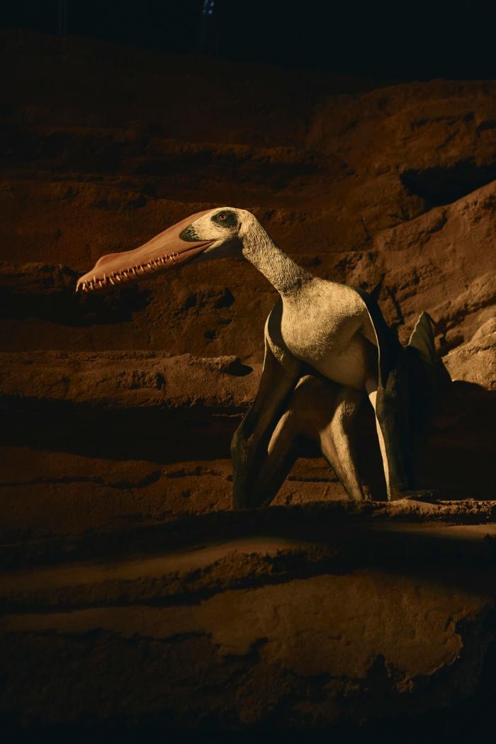 Reptil volador que forma parte de la Sala de la Costa-Ribera del recorrido temático ‘Mar Jurásico’ de Dinópolis (Teruel).