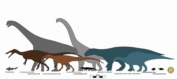 Diversidad de vertebrados en la Formación El Castellar de varios municipios de la provincia de Teruel analizados en este trabajo.