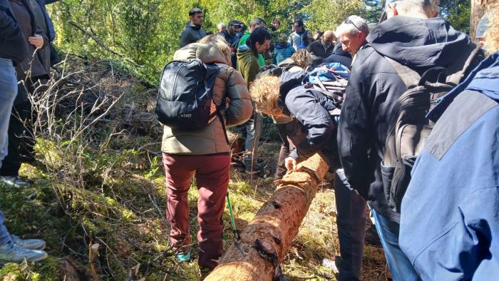 Las jornadas sobre sanidad forestal en el Pirineo han reunido a gestores forestales y expertos de Francia y de España.