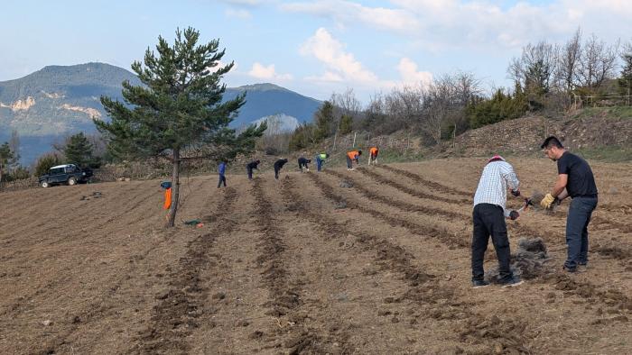 Campo de cultivo de plantas aromáticas