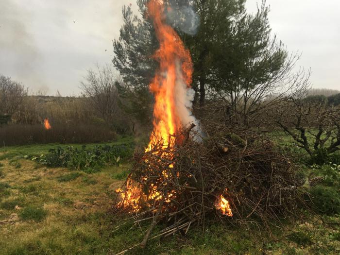 Imagen de archivo de una quema de residuos vegetales comunicada mediante Anexo I.