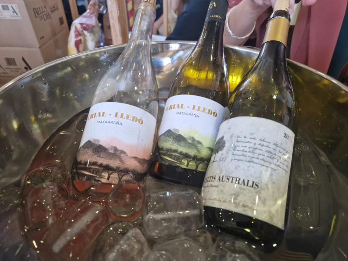 Javier Rincón: “Teruel merece su propia Denominación de Origen en el mundo del vino".