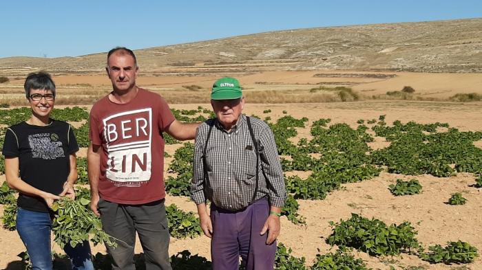 b22c44a7-3e86-40bd-879e-b318457604cb (1)