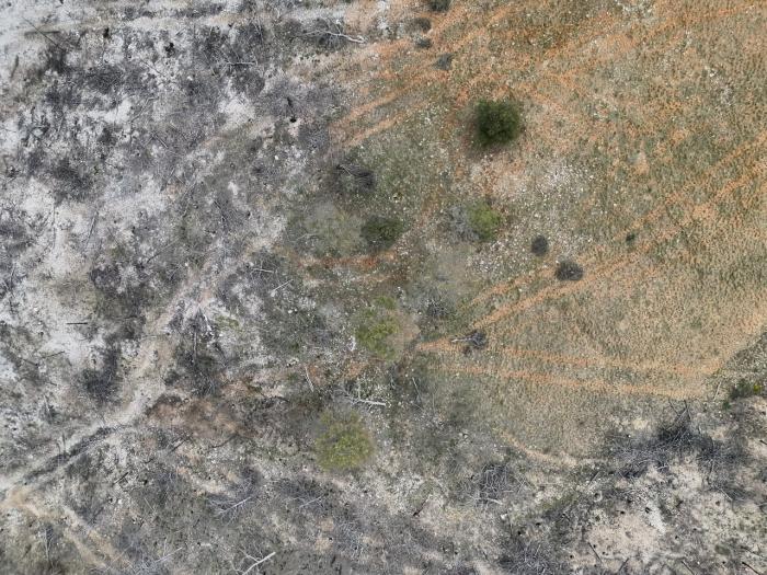 Imagen actual del área afectada por el incendio de Corbalán (Teruel) en 2024, captada recientemente con uno de los drones de INFOAR.