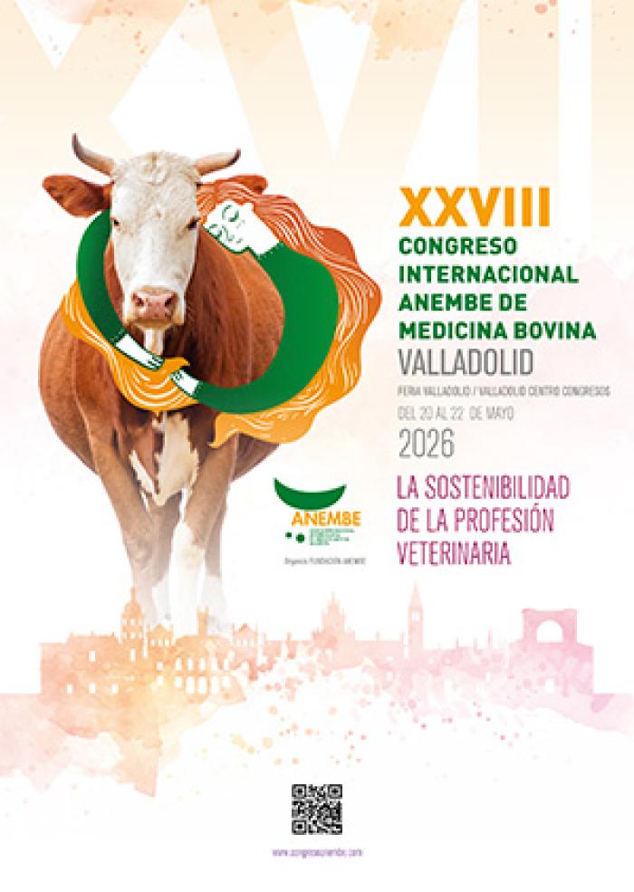 Cartel del XXVIII Congreso Internacional ANEMBE